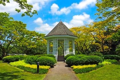 Singapore Botanic Gardens Travel Packages from Pakistan